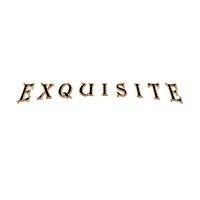channel Exquisite