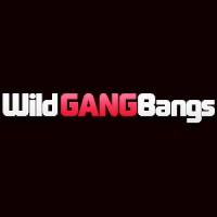 channel Wild GangBangs