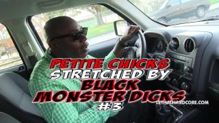 Petite Chicks Stretched by Monster Black Dicks 3 - Scene 1 2