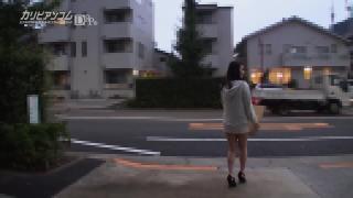 Hitchhiking Japanese Slut 3