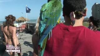 Girls Flashing in VIP Area of Spring Break Beach Party 4