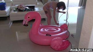 Lola Fae Fucks the Inflatable Flamingo before she Pops Him! 11