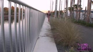 Brazen Public Nudity along Busy Tampa Roadways 5