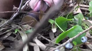 Hot Wild Lesbian Sex in the Wood 9