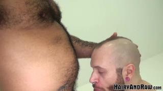 Pussyeating HAIRYANDRAW Hairy Alessio Romero and Reid Thrasher Bareback Orgy
