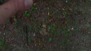 Jamine La Rouge Blowjob in the Park with a Stranger 8