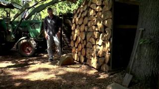 Oster Glocken 4 (Full Movie) 1