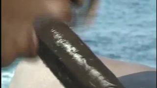 Ebony Teen Swimmer Gets her Tight Pussy Blacked 8