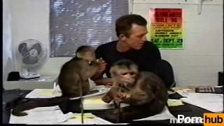 Monkey Gang Bang, Scene 2 2